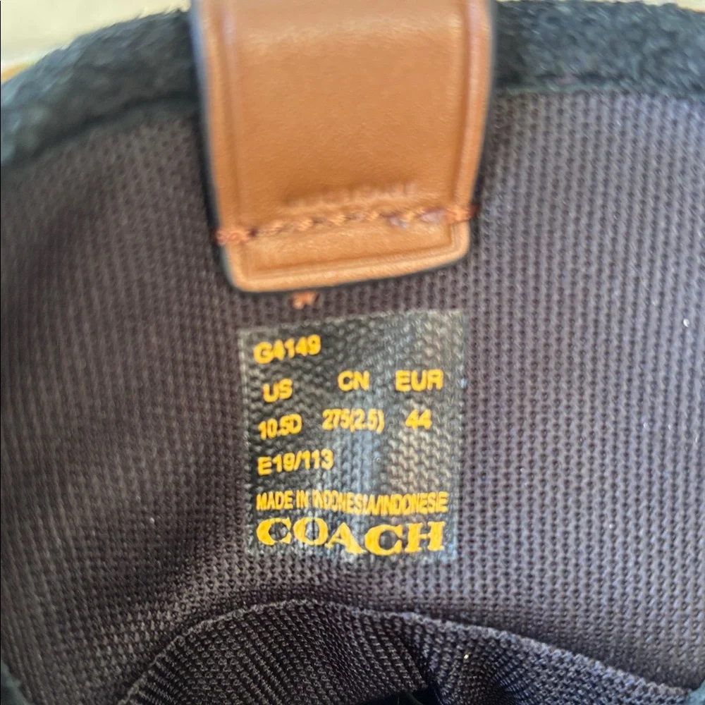 Men’s Coach C250 Hiker Boots
